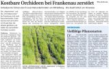 WLZ: Kostbare Orchideen bei Frankenau zerstört